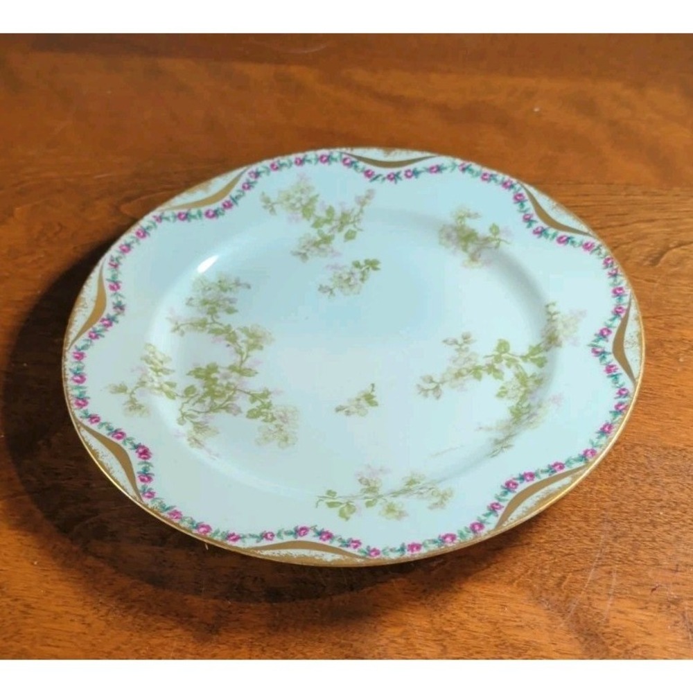 Antique Haviland‎ Limoges Porcelain 8.75" Plate Schleiger EUC